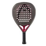 Head Coello Motion 2026