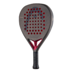 Head Coello Motion 2026 - Image 2
